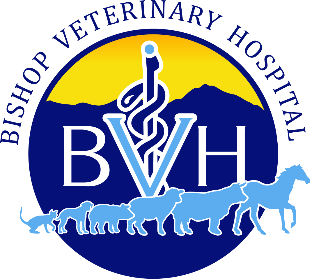 Bishop Veterinary Hospital