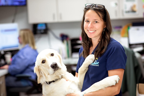 Behind the scenes at Bishop Veterinary Hospita 3