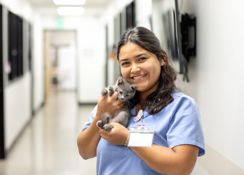 Behind the scenes at Bishop Veterinary Hospita 5