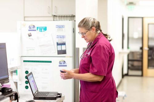 Behind the scenes at Bishop Veterinary Hospita